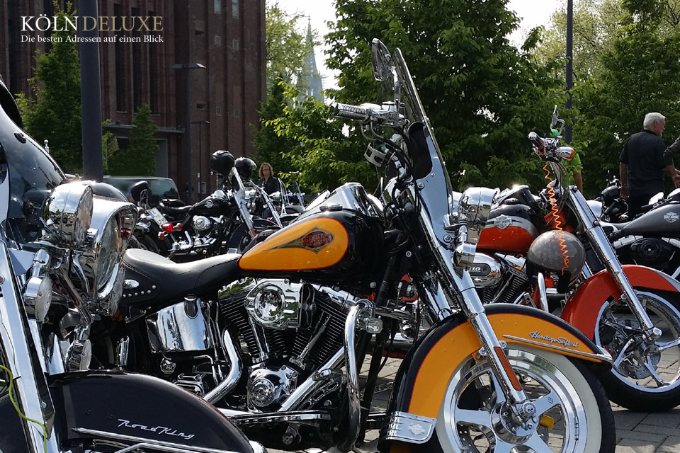 Harley Davidson mit Kölner Dom