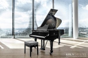Steinway & Sons Elbphilharmonie Limited Edition