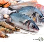 Frische Fisch-Produkte bei Mare Atlantico