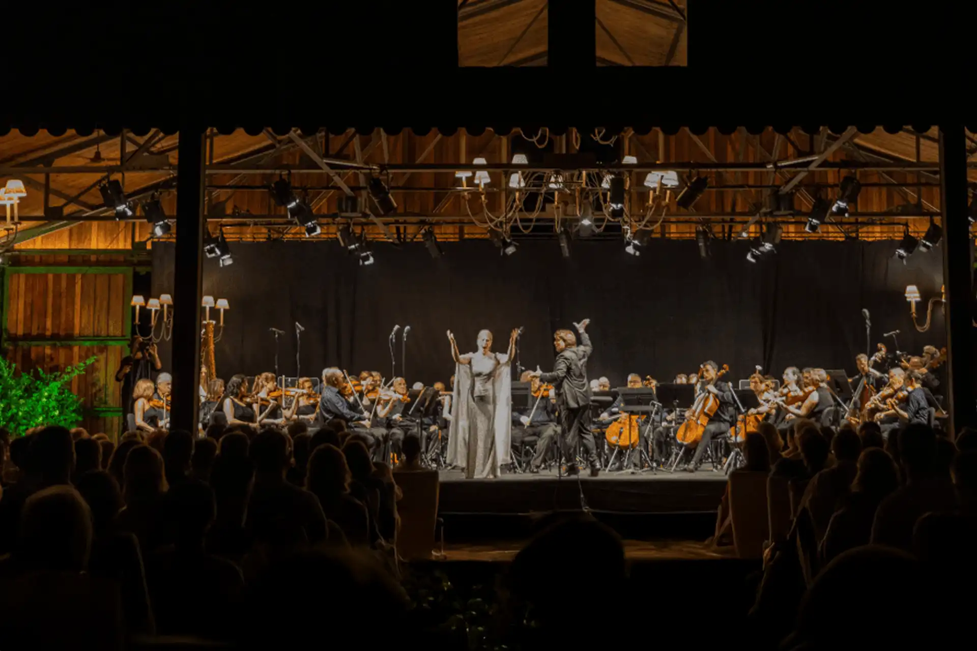 Ein Sommer voller musikalischer Highlights
